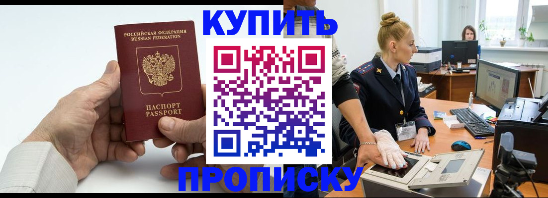 временная регистрация поиск в Новоузенске